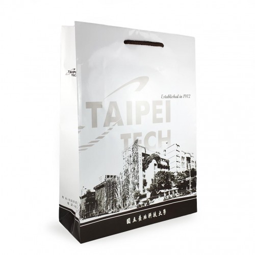 【團購商品，500個起做】TAIPEITECH手提紙袋35cm